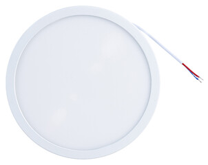 light bulb on white background