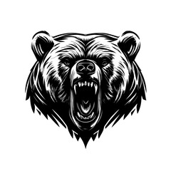 animal, mammal, sketch, vector, illustration, nature, wildlife, drawing, bear, dog, head, wild, hand drawn, fur, pet, art, cat, shaggy, cute, black, isolated on white, zoo, predator, design, beast, ta