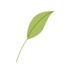 Green bush with leaves illustration. Bush clipart. Bush for landscape. Flat bush. 