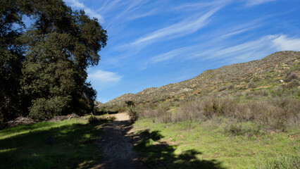 Fototapeta na wymiar Dirt hiking trail leading through the hills on sunny day