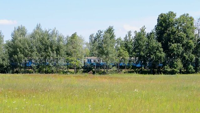 blue suburban electric train under green trees in sunny day, fast suburb transportation, summer vacations diversity