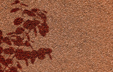 Abstract tree leaves shadows on wall texture