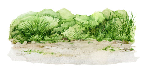 Green grass on the ground close up watercolor illustration. Lush spring grass - meadow, field, garden landscape element. Fresh herbs, grass and natural plants background