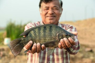 Smiling elderly Asian Fisherman holding a tilapia fish, outdoor