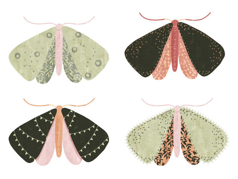 Butterfly - set of colorful boho colors butterflies, isolated on white background for postcards, graphic design