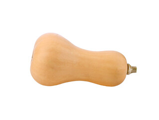 butternut squash solated on transparent png
