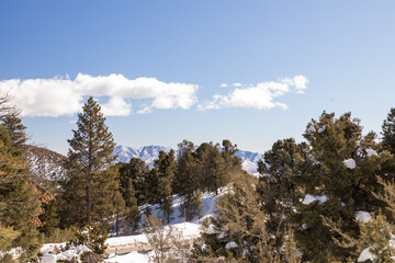 Obraz na płótnie Canvas Snow covered landscape at Spring Mountain National Recreation Area, Nevada 