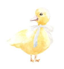 Watercolor duck with silk ribbon illustration, easter greeting card animal clipart. Hand-painted cute yellow duckling drawing, realistic close up. Easter card, sticker kids invitation, nursery frame