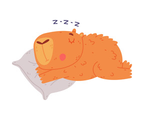 Cute baby capybara sleeping on pillow. Funny animal of South America cartoon vector illustration