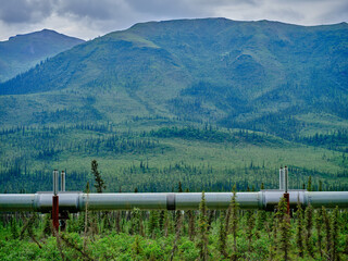 The Alaska Oil Pipeline runs North and south through Pine and Taiga tree forest at the foot of the Brooks Range - 574496171