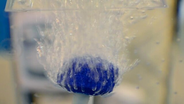 bulbs vaporization on blue surface in water closeup, environmental evaporation diversity