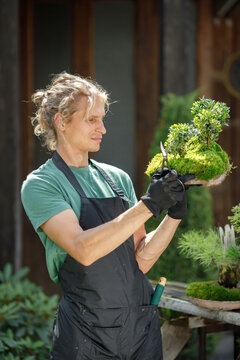 Young blonde man pruring bonsai at backyard garden