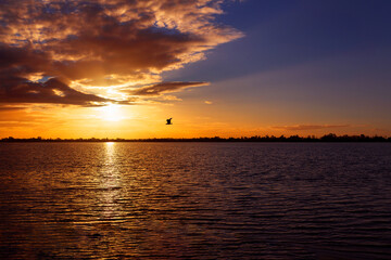 Naklejka na ściany i meble sunset over the lake with flying bird