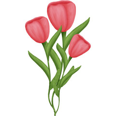 Watercolor red tulips flower bouquet illustration.Hand painting flower illustration.