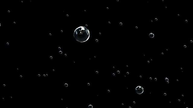 Champagne bubbles appear against a black background and float upwards.