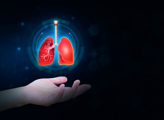 Lungs. Lung problems, tuberculosis, lung cancer. Digital and modern health, pneumoconiosis. NMC....