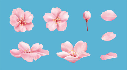 Pink cherry blossom element set