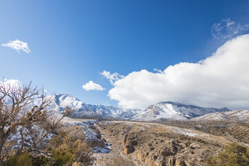 Fototapeta premium Snow covered mountains at Spring Mountain National Recreation Area, Nevada