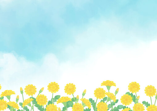 たんぽぽ Images – Browse 11,676 Stock Photos, Vectors, and Video