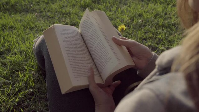 Mujer joven sujetando un libro abierto en el parque con flor amarilla durante el atardecer.