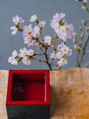 Fototapeta premium 桜の花で日本酒を呑む