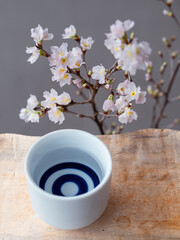 日本酒で観桜