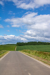Fototapeta na wymiar 緑の丘陵地帯を通る道と青い空 