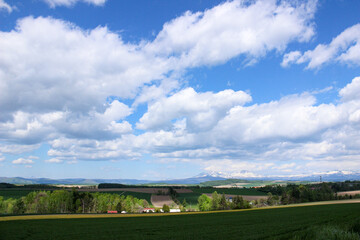 春の丘陵畑作地帯と残雪の山並み　大雪山
