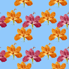 Hibiscus. Floral seamless pattern. Flowers motifs. Collage for textile, cotton fabric, dress. For wallpaper, covers, print. Interior decor. Design for paper, cards. For brochure, banners.