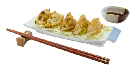 fried dumplings or gyoza isolated