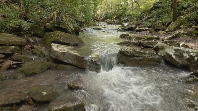 Flowing water stream over rocks In lush green forest 