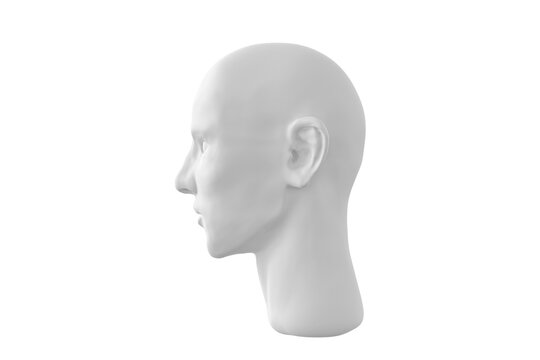 3D render of human head Isolated on white background, side view, Transparent background PNG file.