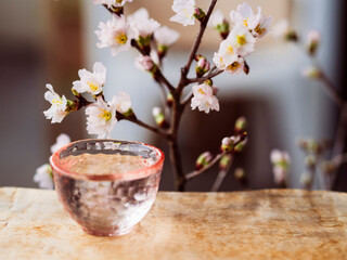 お花見とお酒