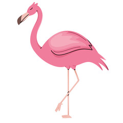flamingo cute illustration