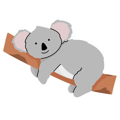 koala cute illustration