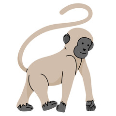 long tail monkey cute illustration