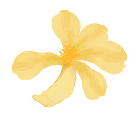 Fototapeta premium Watercolor spring flower