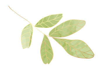 Watercolor leaf branch gold line art