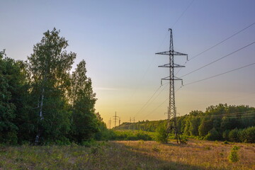 Power line passes through a clearing in the forest in the summer