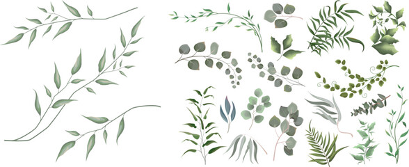 Mix of herbs and plants vector big collection. Juicy eucalyptus, green plants and leaves. All elements are isolated 