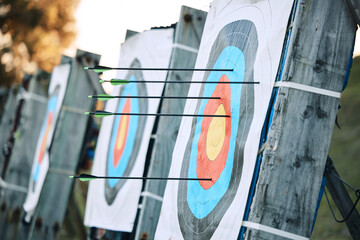 Arrows in archery circle or target for competition, game or learning in field outdoor for sports...