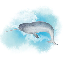 상어 고래 © kyojoo