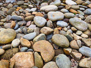 pebbles on the beach