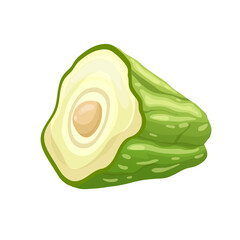 chayote fresh cartoon vector illustration color sign