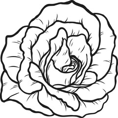 Arthur Bell rose  png.Beautiful flower on transparent background.