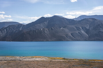 beautiful of black mountain background blue lake and some green field in front of the lake in Pangong tso, Leh Ladakh, India