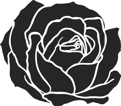 Arthur Bell rose  png.Beautiful flower on transparent background.