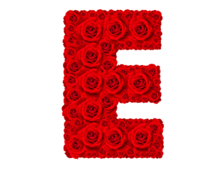 Rose alphabet set - Alphabet capital letter E made from red rose blossoms