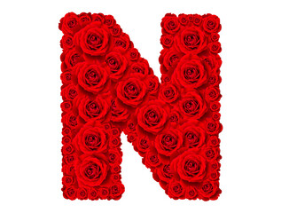 Rose alphabet set - Alphabet capital letter N made from red rose blossoms