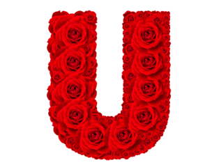Rose alphabet set - Alphabet capital letter U made from red rose blossoms